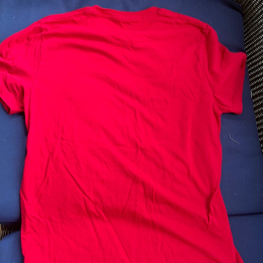 Hollister t shirt size medium.